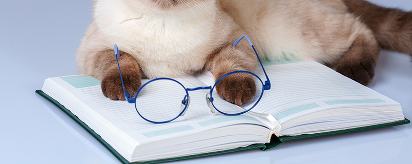 軟件技術專升本升什么專業(yè)