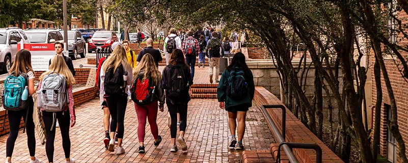 臨沂網(wǎng)絡(luò)教育有哪些專(zhuān)業(yè)可以選擇？