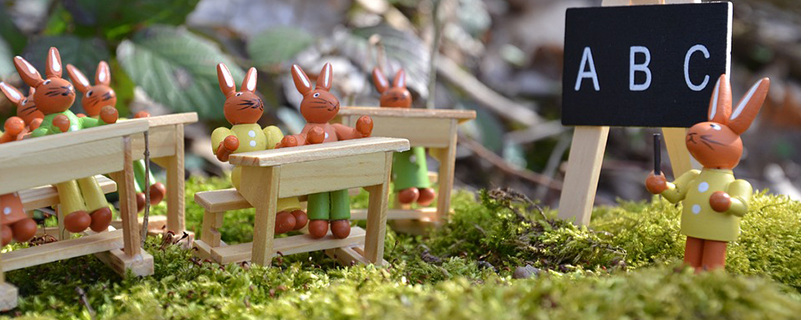 山東省網(wǎng)絡(luò)教育大學(xué)有哪些？