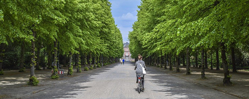 網(wǎng)絡(luò)教育地質(zhì)工程專(zhuān)業(yè)就業(yè)前景