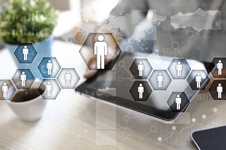 西北工業(yè)大學(xué)網(wǎng)絡(luò)教育專(zhuān)升本要什么條件？