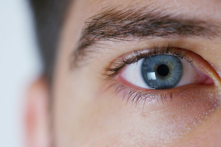 什么叫專科學(xué)歷？