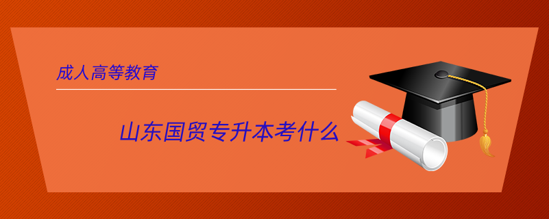 山東國(guó)貿(mào)專(zhuān)升本考什么
