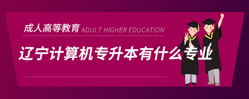遼寧計(jì)算機(jī)專(zhuān)升本有什么專(zhuān)業(yè)