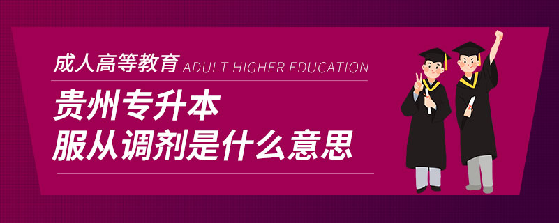 貴州專升本服從調劑是什么意思