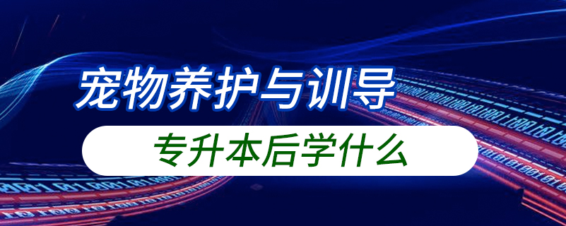 寵物養(yǎng)護(hù)與訓(xùn)導(dǎo)專(zhuān)升本后學(xué)什么
