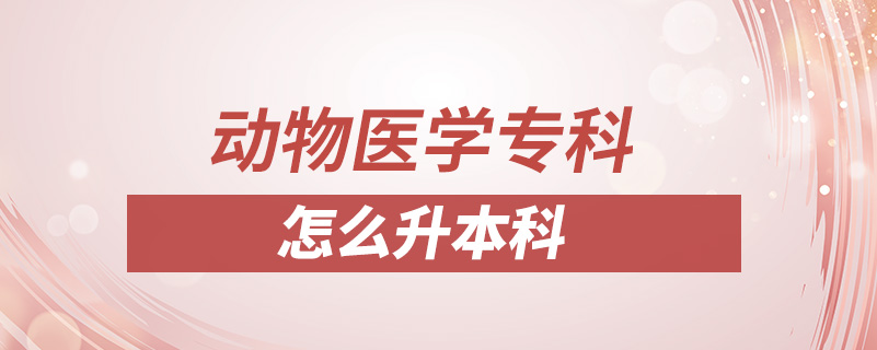 動物醫(yī)學(xué)?？圃趺瓷究? /></p><p style=
