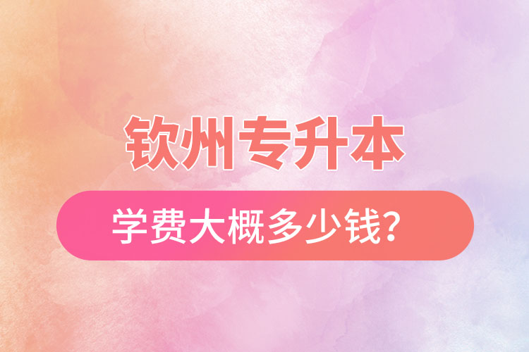 欽州專升本學費大概多少錢？