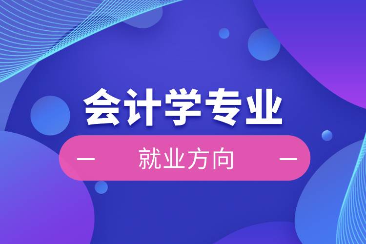 會計學專業(yè)就業(yè)方向