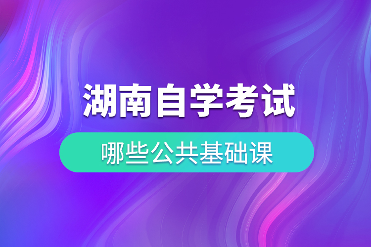 湖南自學(xué)考試哪些公共基礎(chǔ)課