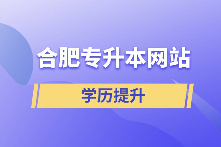 合肥專(zhuān)升本網(wǎng)站
