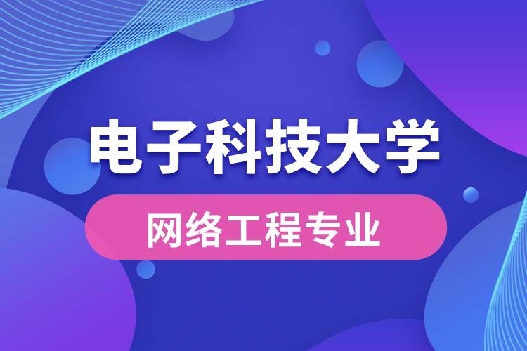電子科技大學網(wǎng)絡工程專業(yè)