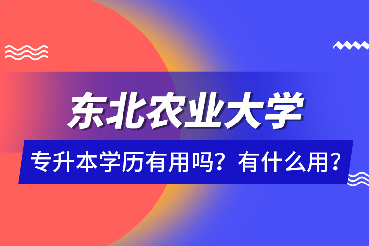 東北農(nóng)業(yè)大學專升本學歷有用嗎？有什么用？