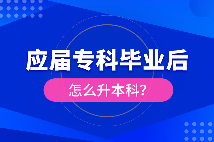 應(yīng)屆?？飘厴I(yè)后怎么升本科？