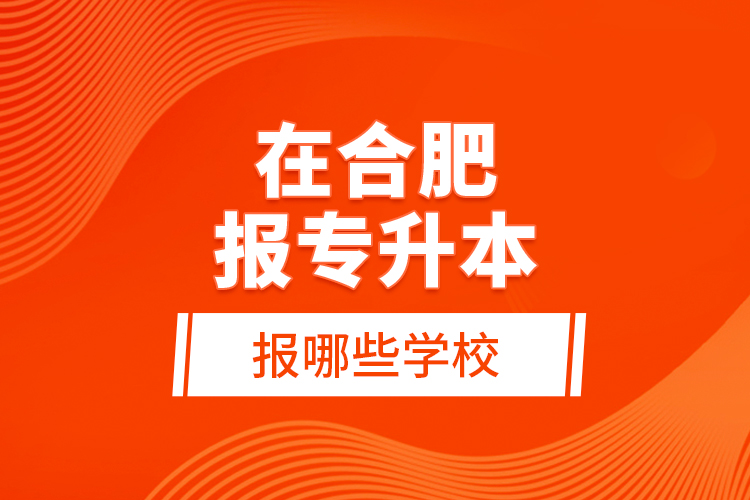 在合肥報(bào)專升本報(bào)哪些學(xué)校？