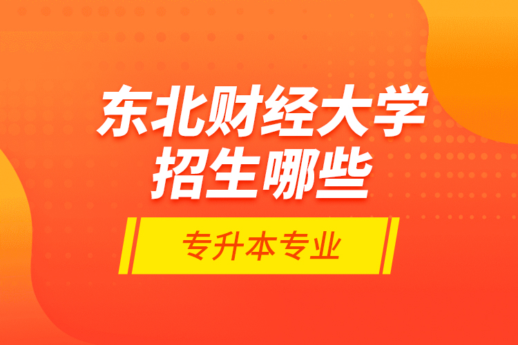 東北財經(jīng)大學(xué)招生哪些專升本專業(yè)?