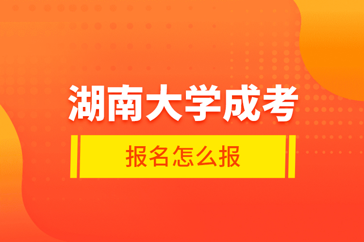 湖南大學成考報名怎么報