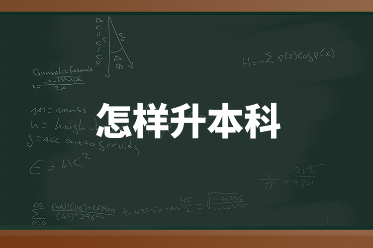 怎樣升本科？