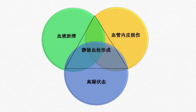沉默殺手 VTE，如何進(jìn)行抗凝治療？三問搞懂