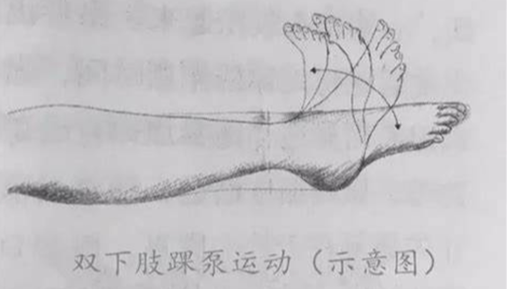 長(zhǎng)途旅行 快樂相伴 健康相隨