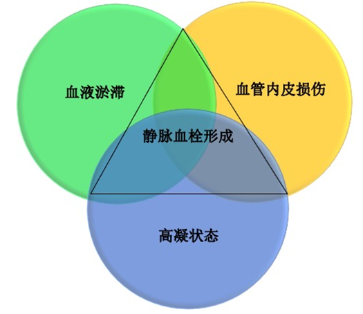 沉默殺手 VTE，如何進行抗凝治療？三問搞懂