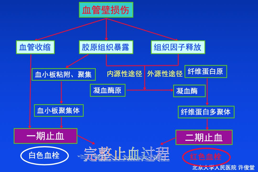 血栓形成，三個(gè)要素細(xì)分說
