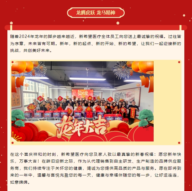 龍嘯新春，共赴新程
